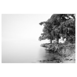 "Morning Reflection No.2"